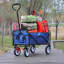 Chariot de plage pliable-113855340