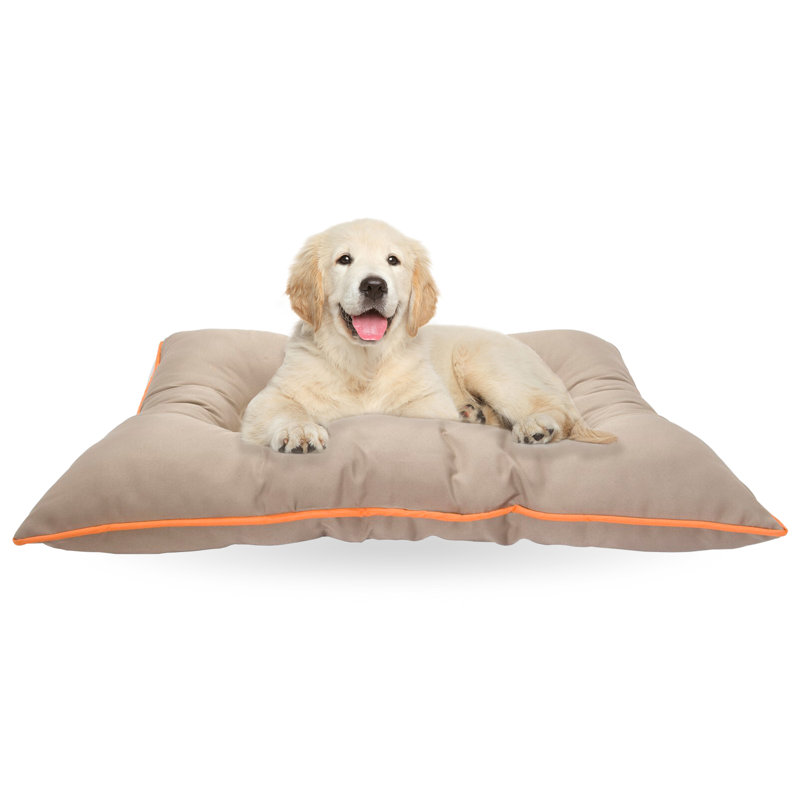 Lit de voyage pour animaux Brumfield, Petit (l 30 po x P 20 po x H 5 po), Bleu marine
