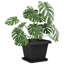 Planter-1849224924-1849224908-1849224910