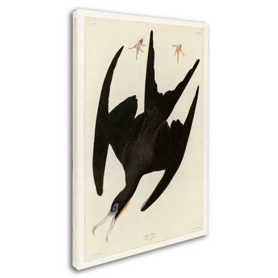 « fairfax pelicanplate 271 », reproduction sur toile tendue