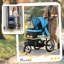 Foldable Pet Jogger Stroller