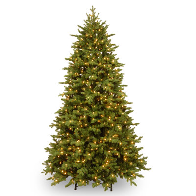 Sapin de luxe avec lumières DEL bicolores PowerConnect Princeton