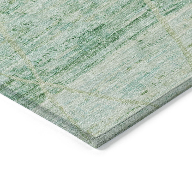 Machine Washable Indoor/Outdoor Cinead ACN1658 Aloe Rug, Rectangle 9' x 12'