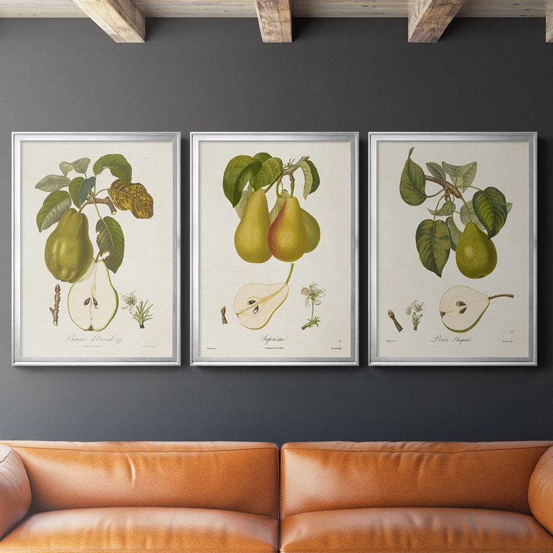 Toile encadrée de qualité supérieure Vintage Pears IV - prête à être accrochée, H 30,5 po x l 45 po x P 2,5 po, Cadre argenté
