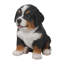 Bernese Mountain Dog Puppy Statue