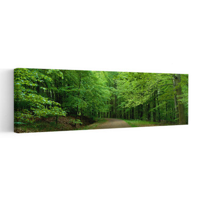 Road Through A Forest Near Kassel Germany Peaceful Serene Tranquil Tree Wall Art