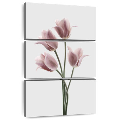 Harnek Tulips Pink