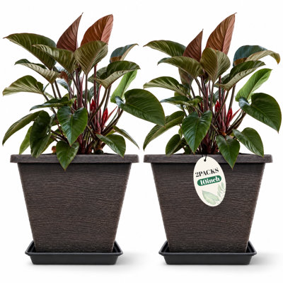 Pots de fleurs carrés de 25 cm avec soucoupes, couleur brun café, ensemble de 2