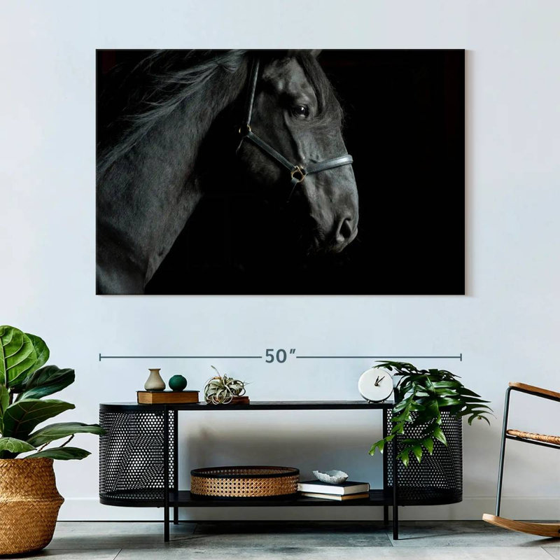 Brampt Horse Head, 34" H x 51" W