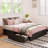 Platform Bed with Storage, 2 Large Customizable Drawers,No Box Spring Needed-33458558-33458546