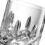Connoisseur Lismore 6floz Straight Tumbler