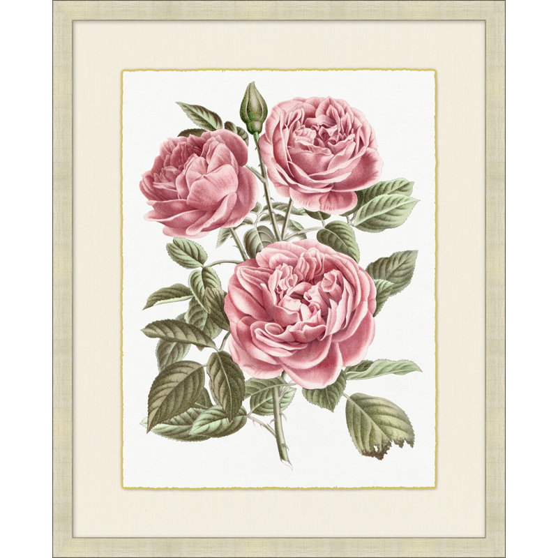 Blush Florals 2 Painting