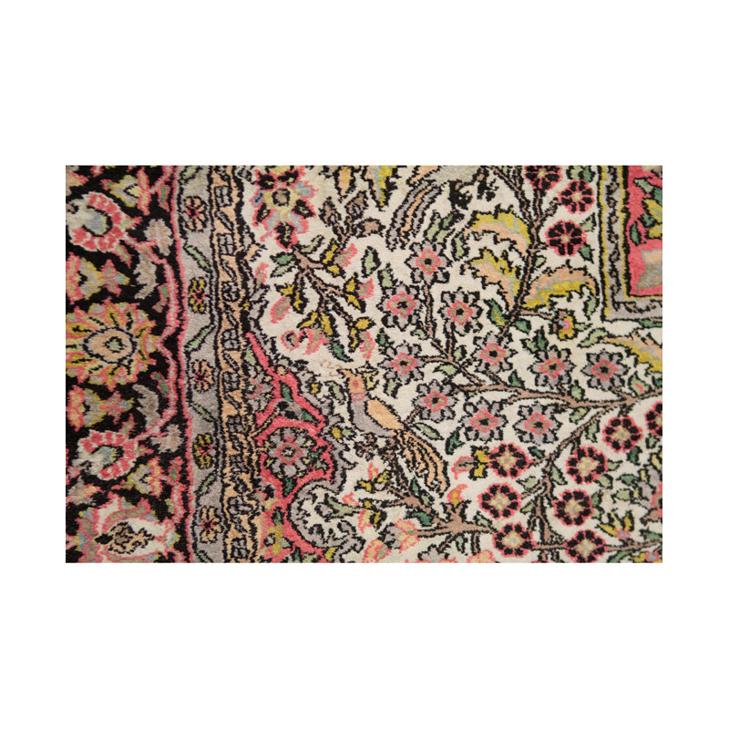 Oriental Area Rug