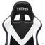 Fauteuil de jeu Techni Sport TS-92-387988607