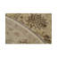 Wool Oriental Area Rug in Cream