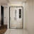 Tempered Glass Shower Door