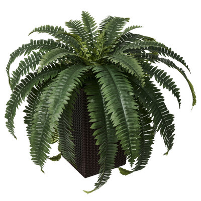 Adcock 30" Fern Plant in Decorative Vase