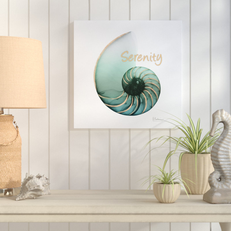 Shinny Serenity Snail 1 - Wrapped Canvas Print, 91cm H x 91cm W x 4cm D