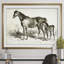 « équin sketch viii », impression-28042135-28042322-28042328