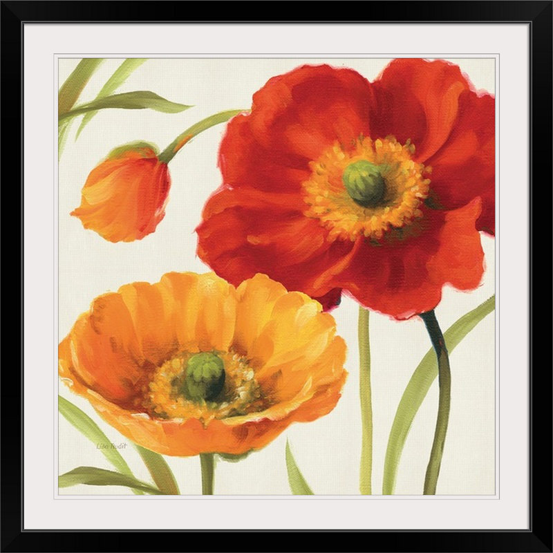 «Poppies Melody III» par Lisa Audit, reproduction d'art, H 32 po x l 32 po x P 1 po, Cadre noir