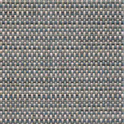 Scale Fabric