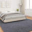Solid Colour Standard Area Rug-1979824229