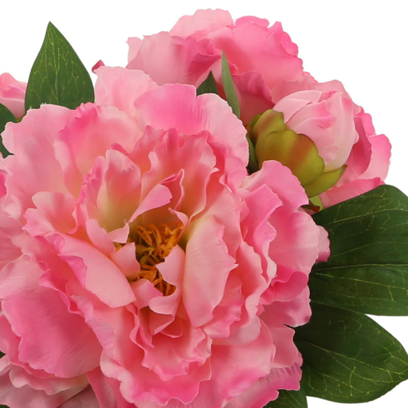Dahlia Arrangement, Pink