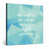 Bleu sarcelle / blanc