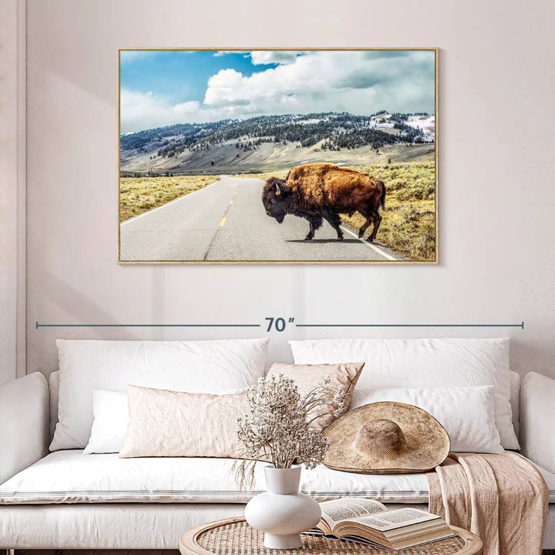 American Bison Crossing, Cadre flottant en bois naturel, 46 po x 31 po