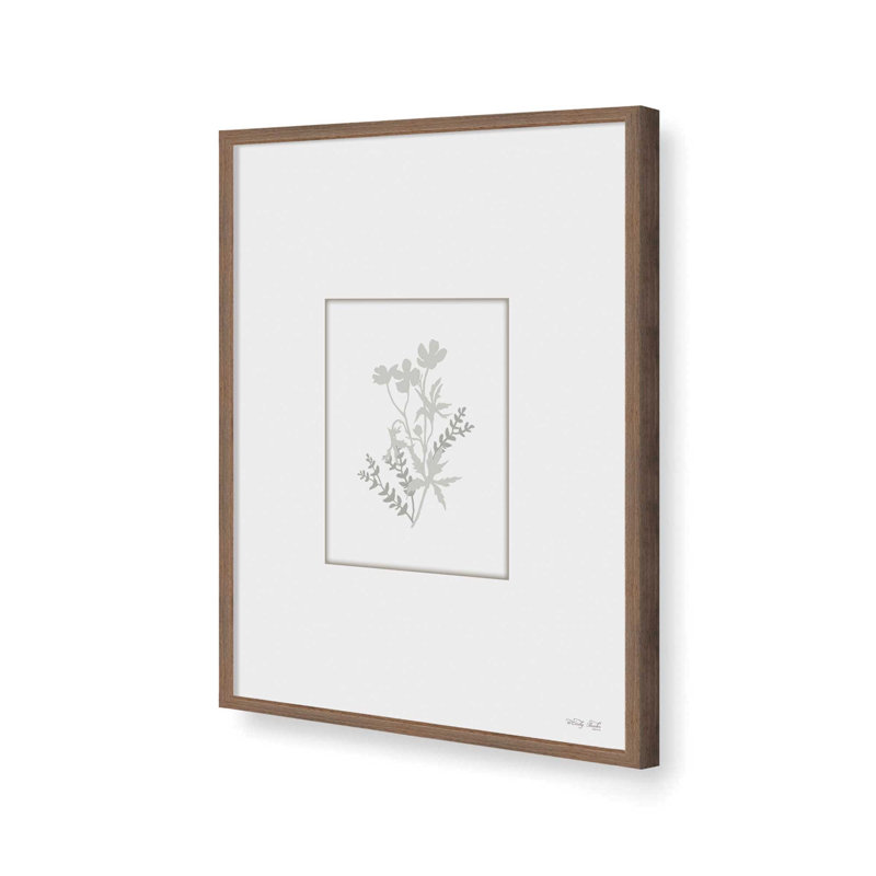 «Botanical Silhouette II» par Cindy Jacobs, reproduction d'art, L 24 po x H 32 po, Brun, Impression encadrée