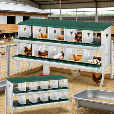 Metal Nesting Boxes for Chickens-10 Compartment Chicken Nesting Box with Bracket Legs for Laying Eggs, Wall Mountable Roll Away Laying Boxes for Hens and Chicken Coop,Green