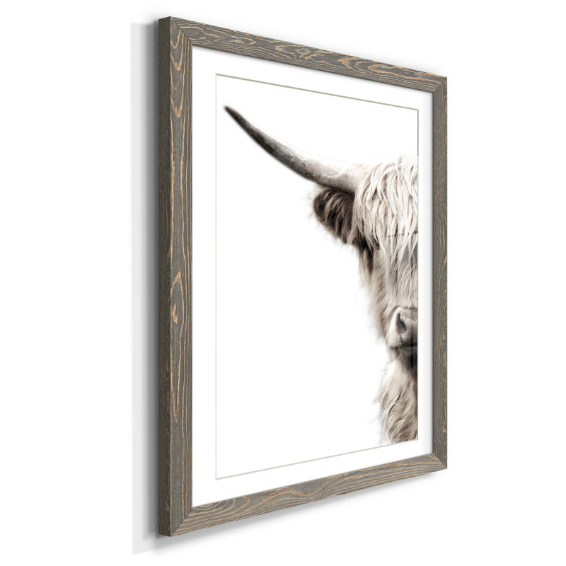 Bétail des Highlands - reproduction de photo, H 37,5 po x l 27,5 po x P 1,5 po, Cadre en papier gris, Blanc