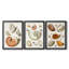 Collection de coquillages I - Toile tendue avec châssis sur mesure - 3 pièces-531698339-531698337