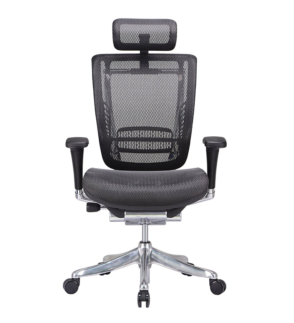 Ergonomic High Back Mesh Executive Chair with Headrest, Seat Slide, Adj Lumbar Support Symple Stuff Color 