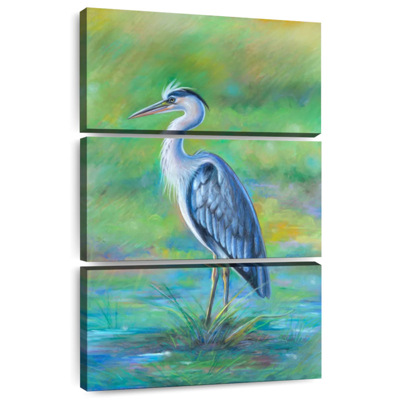 Aigrette ronce