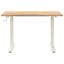 Adjustable Standing Desk-1734874605-1734874606