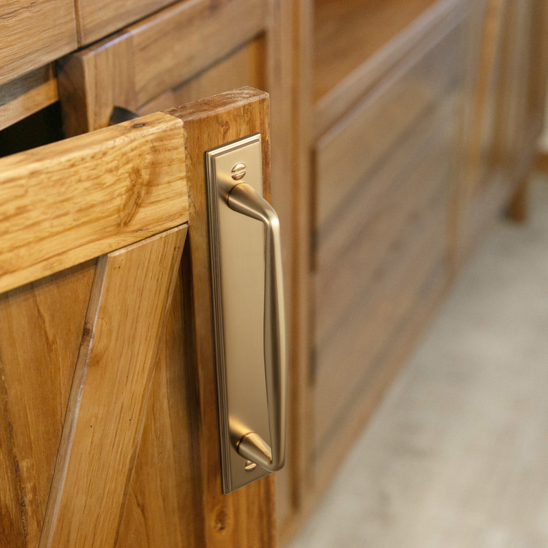 Solid Spindle Bar Pull With Backplate(G015) Multipack, 5", Champagne Bronze