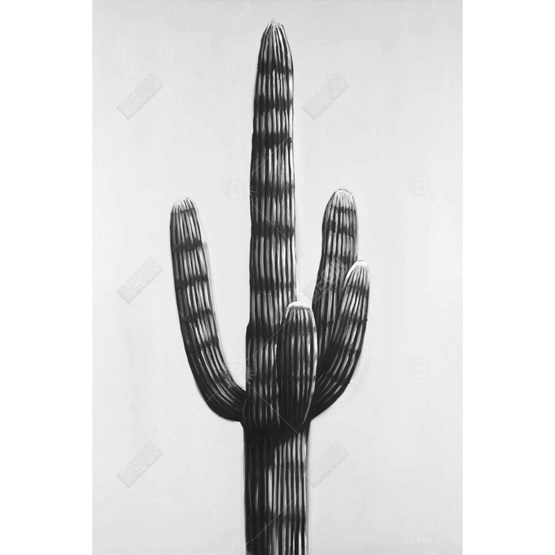 " Large Cactus "