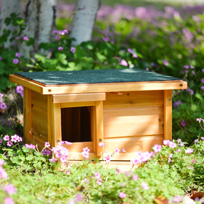 Teri Weather Resistant Small Animal Hutch