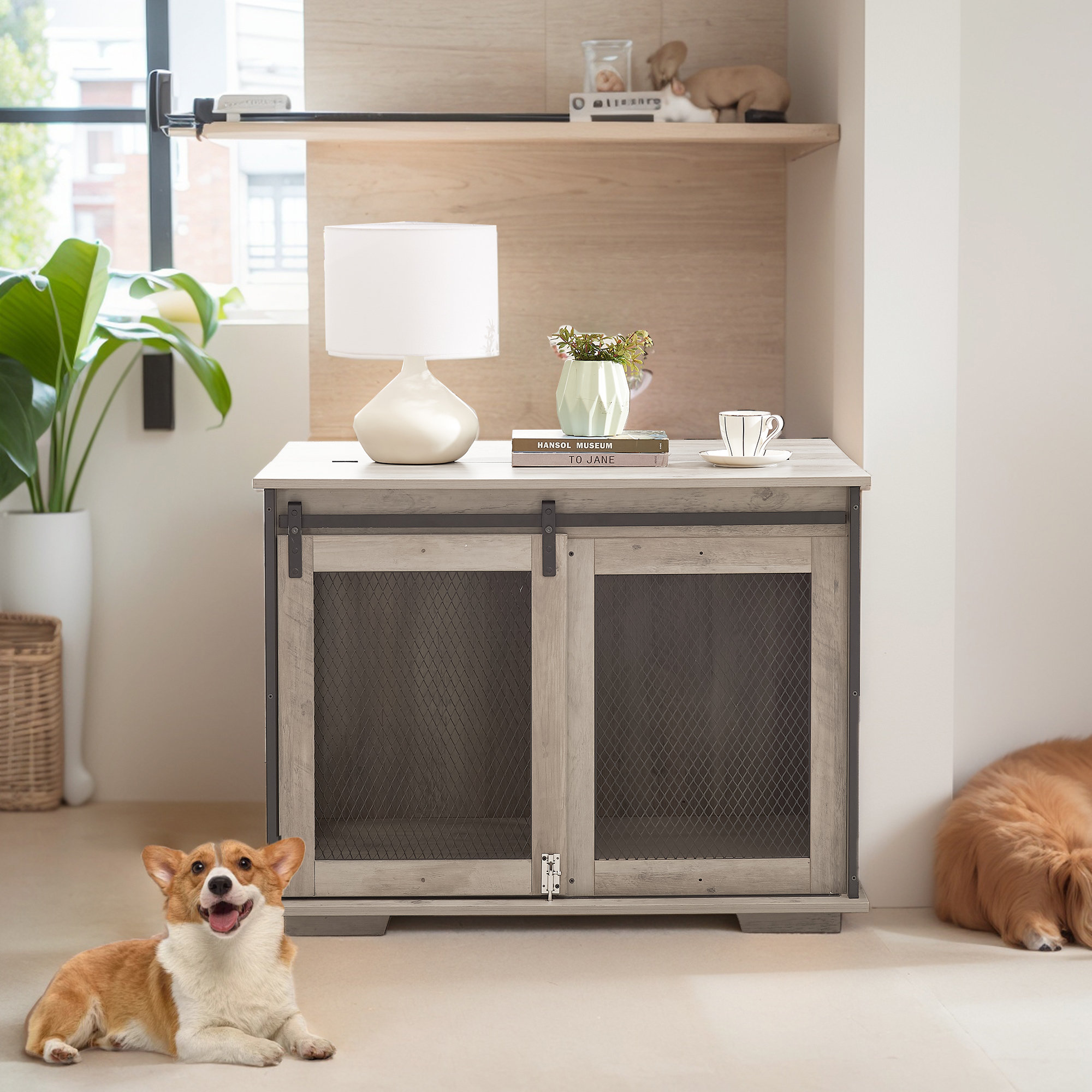 Farmhouse Style Dog Cage with Sliding Barn Door