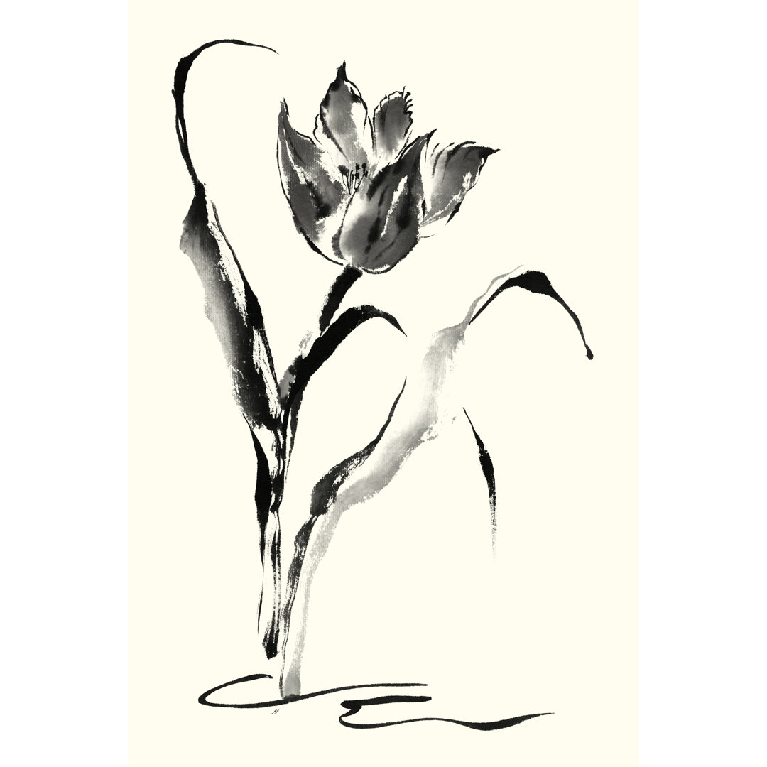 Leinwandbild Studies in Ink - Tulip von Nan Rae