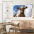 Guernsey Cow