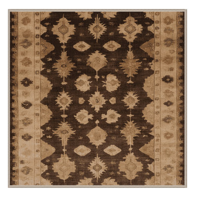 Machine Washable Overdyed Brown Area Rug