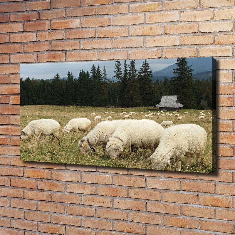 Sheep Grazing - Wrapped Canvas Print