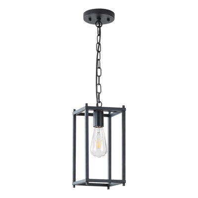 Luminaire suspendu 1 lumière avec cage réglable