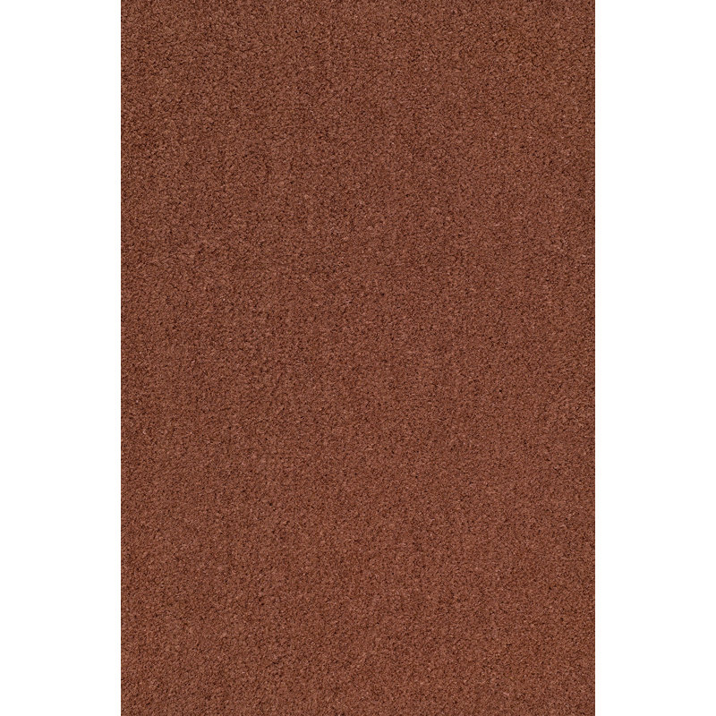 Tapis d'intérieur / extérieur Kalonni, L 24 po x L 48 po, Beige