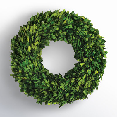 Alby Preserved Boxwood Real Greenery Wreath