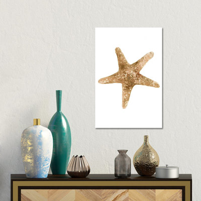 Neutral Shell Collection III by Stellar Design Studio - Gallery-Wrapped Canvas Giclée on Canvas