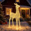 Holiday Lighting-136071078