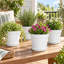 Lot de 20 pots de fleurs blancs en plastique de 15 cm avec drainage et soucoupes